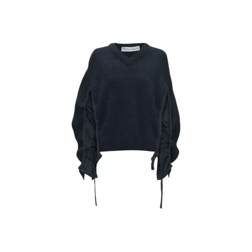 JW Anderson Оксфорд Синий Женские Свитеры