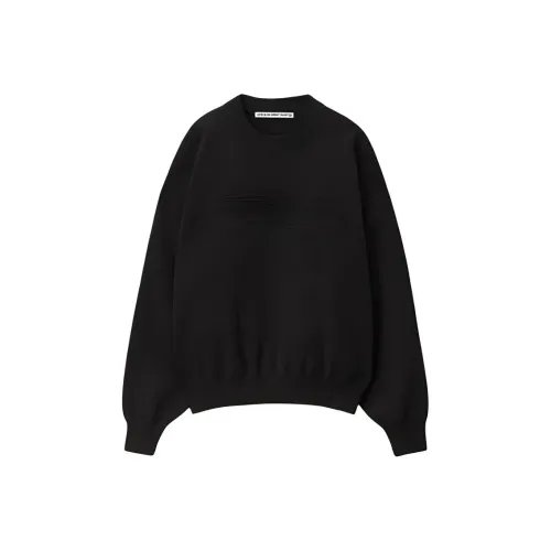 alexander wang Черные Женские Свитеры