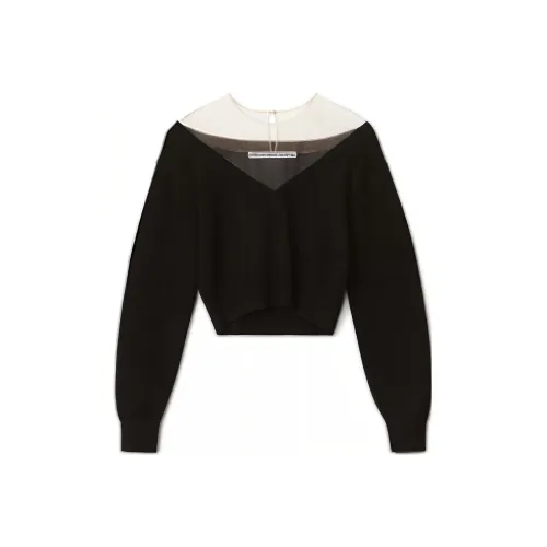 alexander wang Женские Свитеры