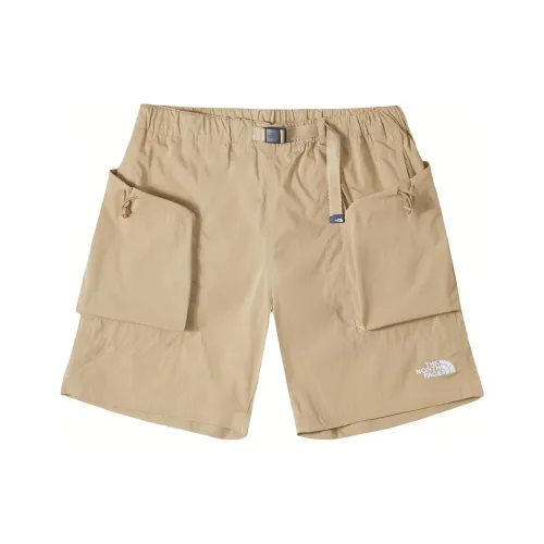 THE NORTH FACE Urban Exploration Повседневные шорты Мужские Камень Коричневый