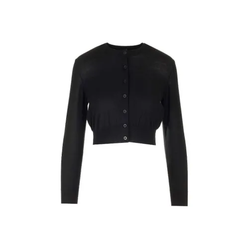 alexander wang Черные Женские Свитеры
