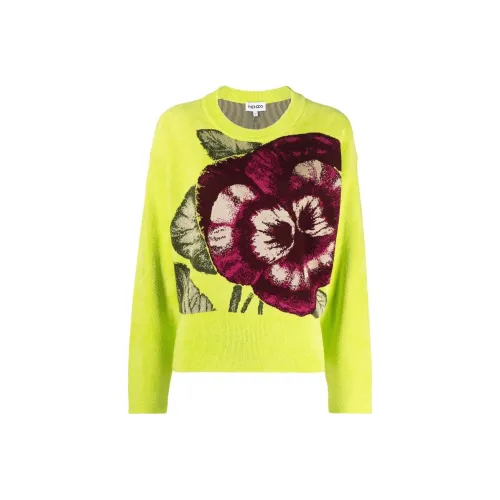 KENZO Зеленые Женские Свитеры