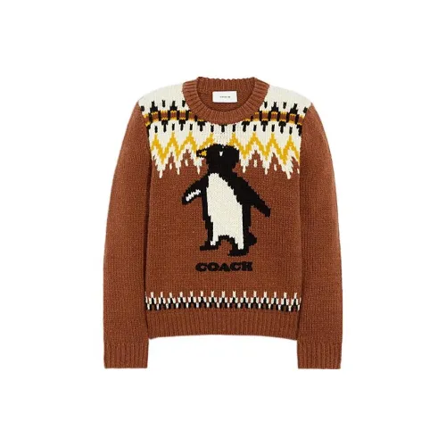 COACH FW22 Свитер Женский Коричневый