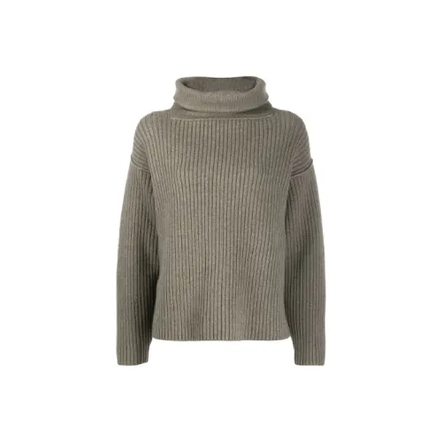 alexander wang Кофе Женские Свитеры