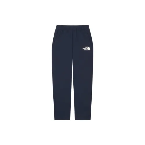 The North Face Синий Мужские спортивные брюки