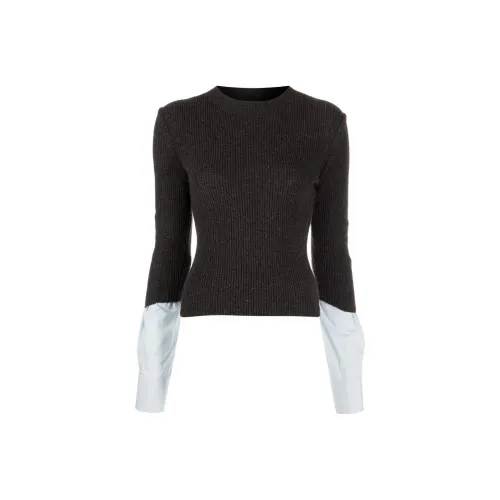 alexander wang Коричневые Женские Свитеры