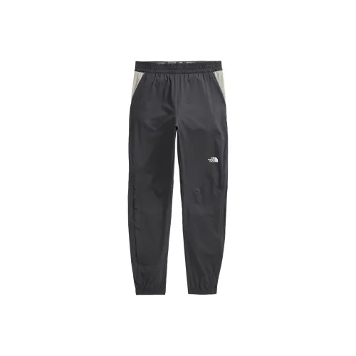 THE NORTH FACE FW24 Спортивные брюки Мужские Темно-серый