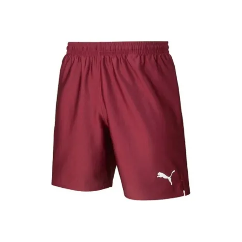 PUMA Повседневные шорты Мужские Бордовые