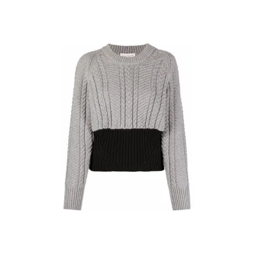 Alexander McQueen Серые Женские Свитеры