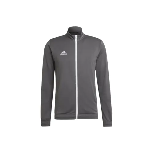Adidas Entrada 22 Entrada 22 Футбол Джерси Унисекс Серый