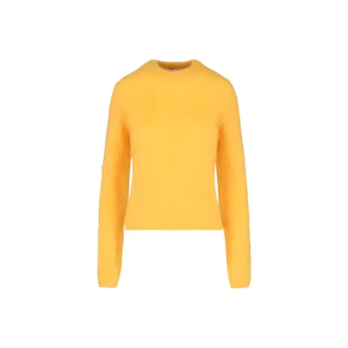 MARNI Желтые Женские Свитеры