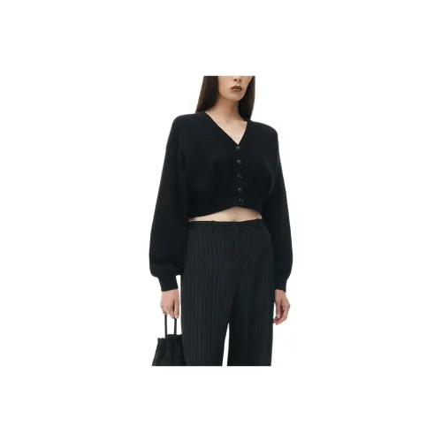 alexander wang Женские Свитеры