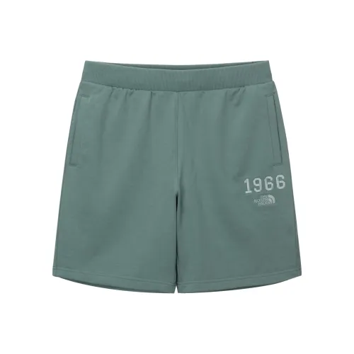 The North Face Сосна Унисекс Спортивные шорты