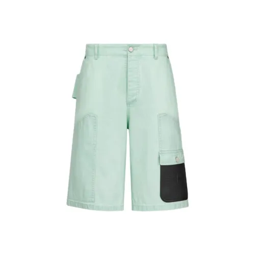 DIOR Light Green Men's Casual Shorts  
DIOR Светло-зеленые Мужские Повседневные Шорты