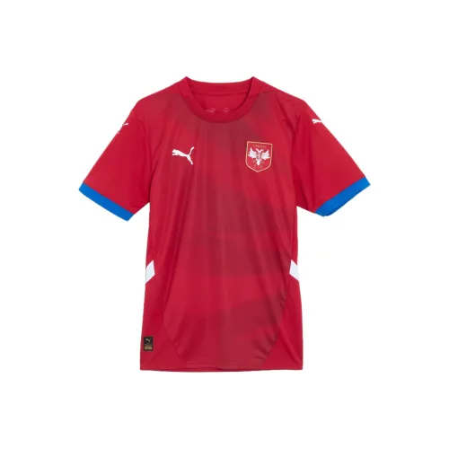 PUMA Футбол Джерси Мужской Темно-красный Темно-синий