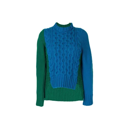 sacai Зеленый Женские Свитеры