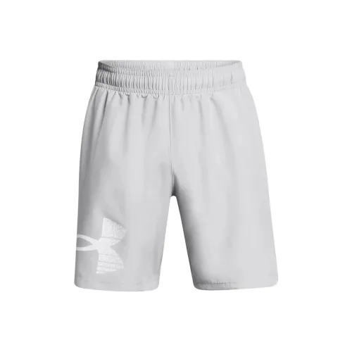 Under Armour Woven Collection Серые Мужские Повседневные Шорты