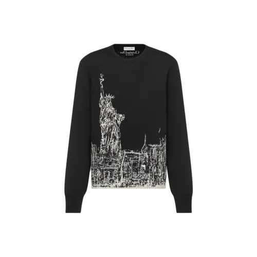 DIOR Черные Женские Свитеры