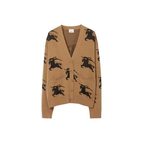 Burberry SS23 Свитер Женский Коричневый