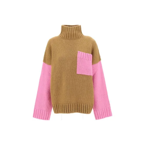JW Anderson Розово-коричневые Женские Свитеры