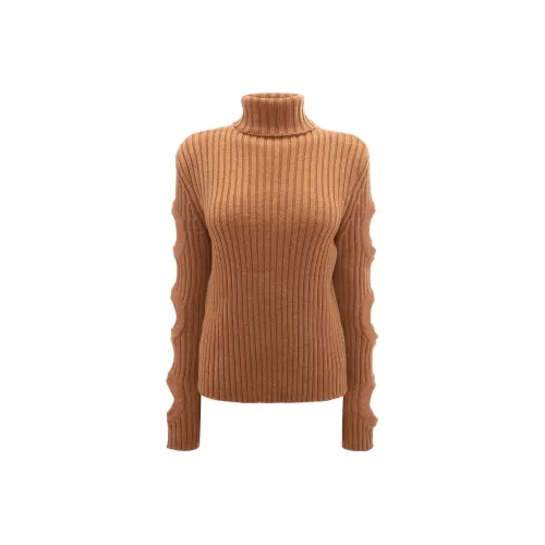 JW Anderson Коричневые Женские Свитеры