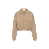 Золотой цвет верблюжий