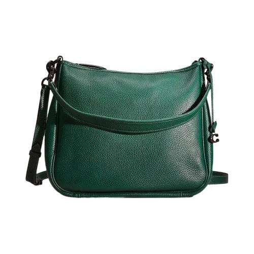 COACH Cary Пескоструйная кожа Сумка через плечо Одно плечо Большая Женская Темная сосна