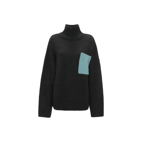 JW Anderson Серые Женские Свитеры