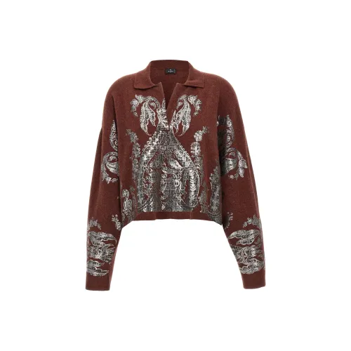 ETRO Коричневые Женские Свитеры