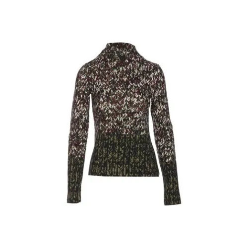 LOEWE Свитер Женские Темный цвет