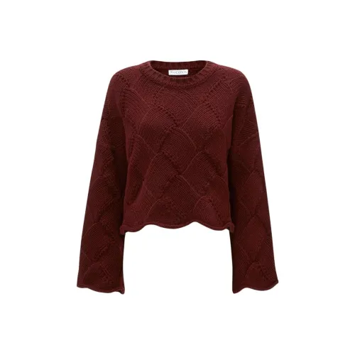 JW Anderson Бургундские Женские Свитеры