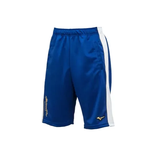 Mizuno Pro Сине-белые 16 Унисекс Спортивные шорты