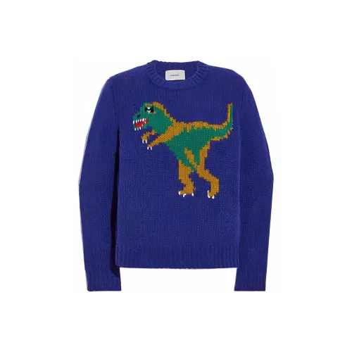 COACH Rexy Темно-синий Женские Свитеры