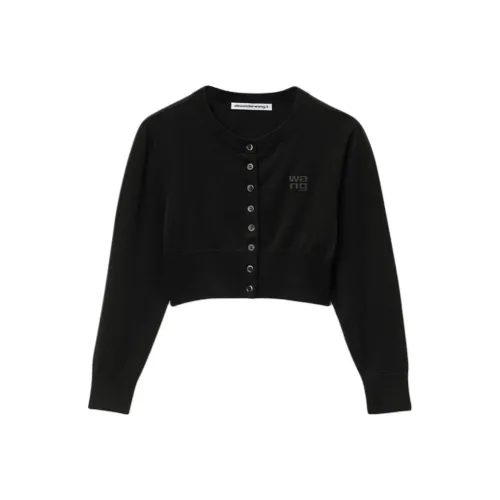 alexander wang Черные Женские Свитеры