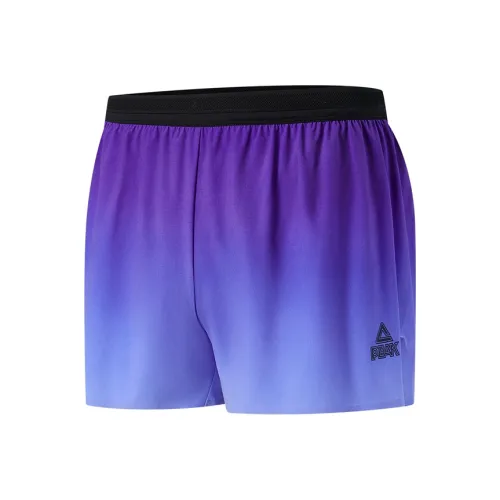 PEAK Спортивные шорты Мужские Королевский Фиолетовый