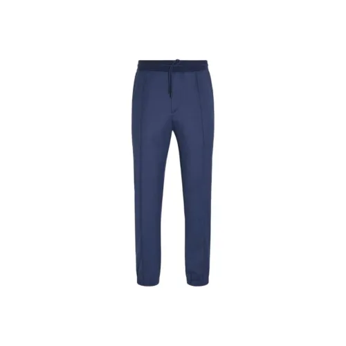 Ermenegildo Zegna Темно-синие Мужские Повседневные Штаны