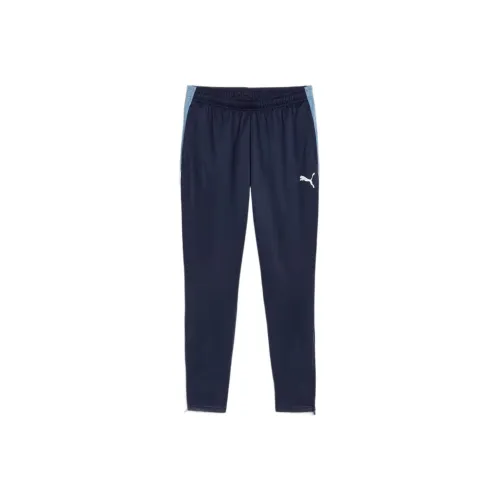 PUMA INDIVIDUALLIGAPants Тренировки DRYCELL Спортивные брюки Мужской Синий