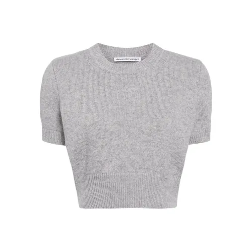 alexander wang Серые Женские Свитеры