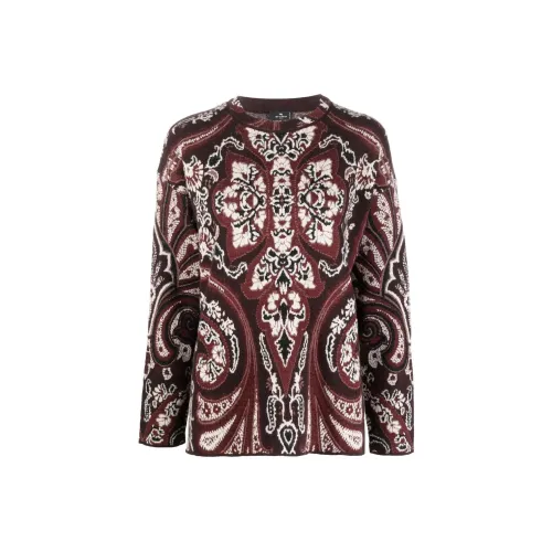 ETRO Коричневые Женские Свитеры