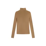 Верблюжий цвет