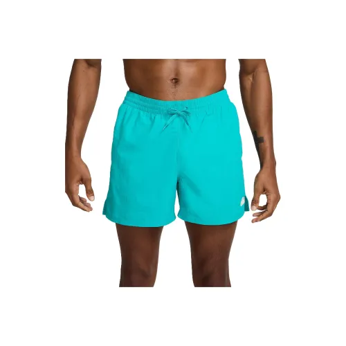 Nike SS25 Спортивные шорты Мужские Синие