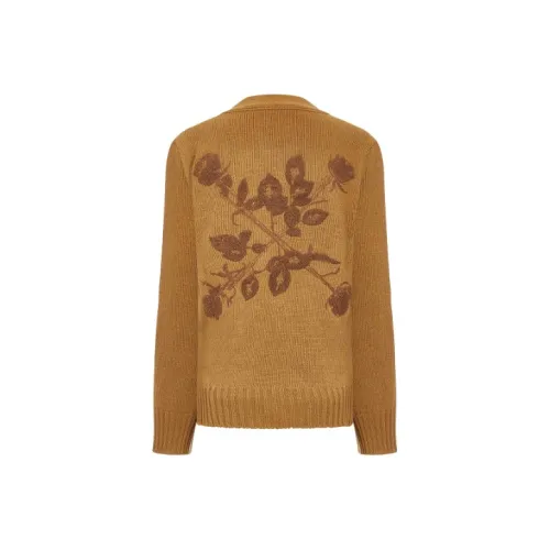 Off Белый FW20 Коричневый Женские Свитеры