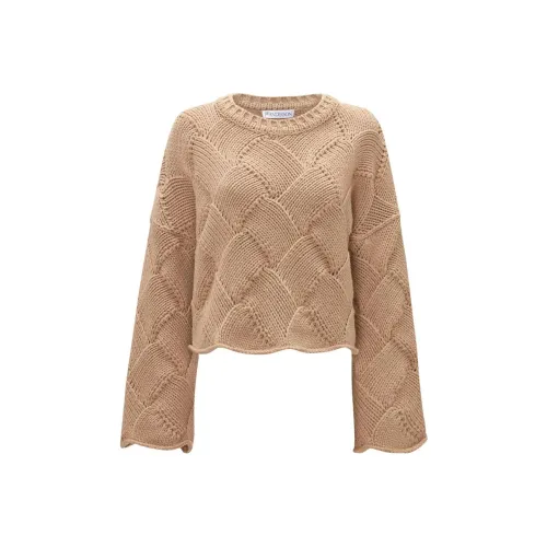 JW Anderson Кожа Женские Свитеры