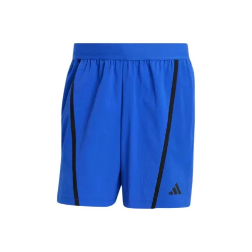 Adidas FW24 Спортивные шорты Мужские Полупрозрачные Синие