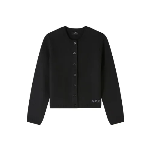 A.P.C FW24 Свитер Женский Черный