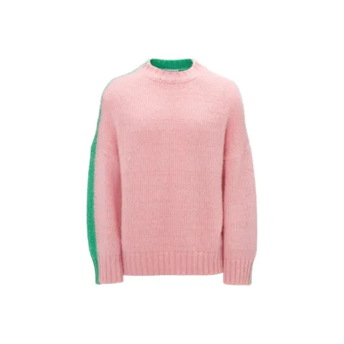 JW Anderson Розовые Женские Свитера