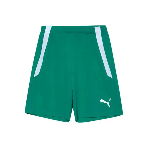 PUMA Повседневные шорты Мужские Перечно-зеленые