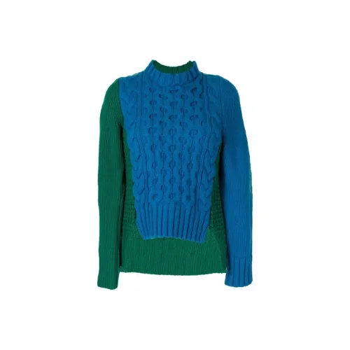 Sacai Синий Женские Свитеры