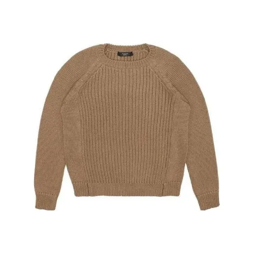 WEEKEND MaxMara Коричневые Женские Свитеры