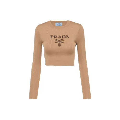 PRADA Коричневые Женские Свитера